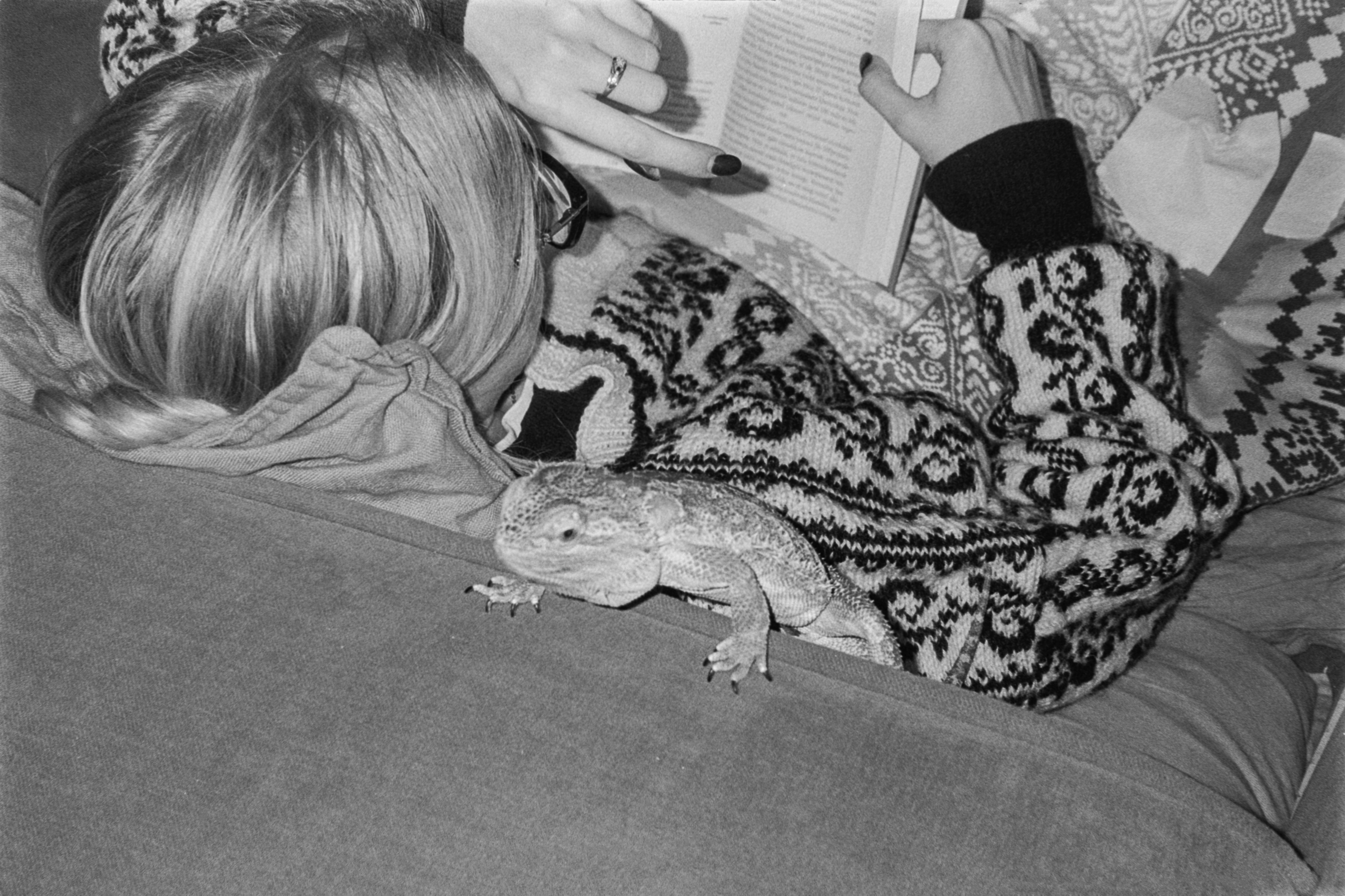 A selection of photographs - Liisa with lizard